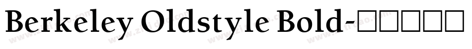 Berkeley Oldstyle Bold字体转换